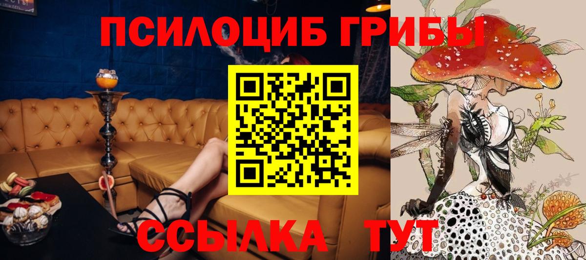 Галлюциногенные грибы мухоморы  Галлюциногенные грибы Cubensis  Тихорецк  Вход с VPN 