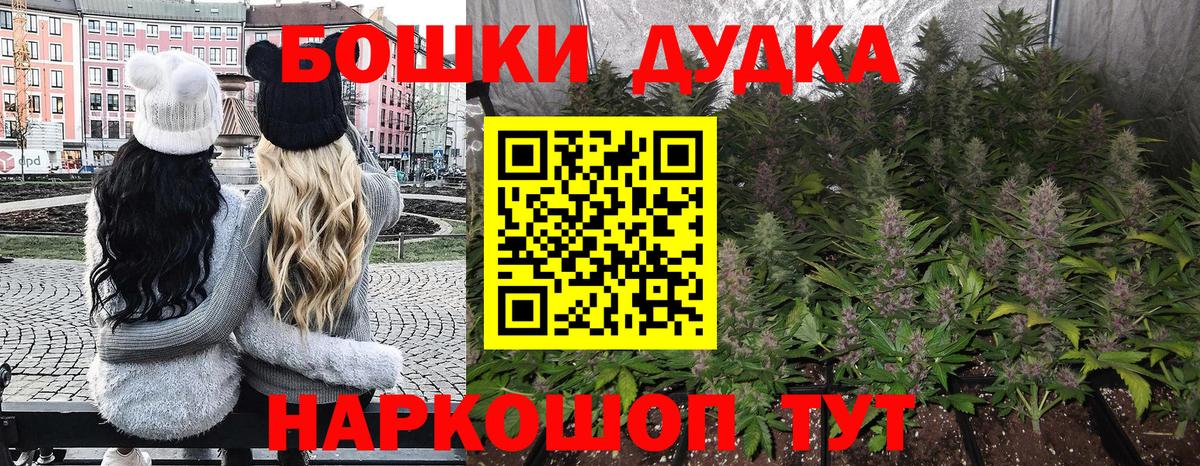 Конопля планчик  Бошки марихуана план  Бошки Шишки SATIVA & INDICA  Вход с VPN  Тихорецк 